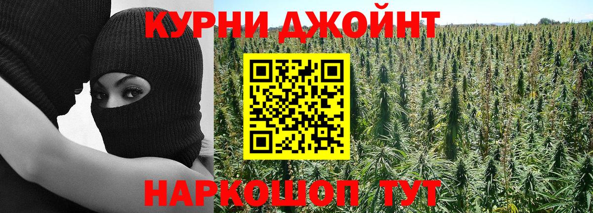 Бошки марихуана OG Kush  Вход с VPN  Канабис OG Kush  Энгельс  Шишки марихуана OG Kush 